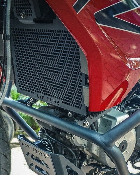 Radiator Guard for BMW G310R